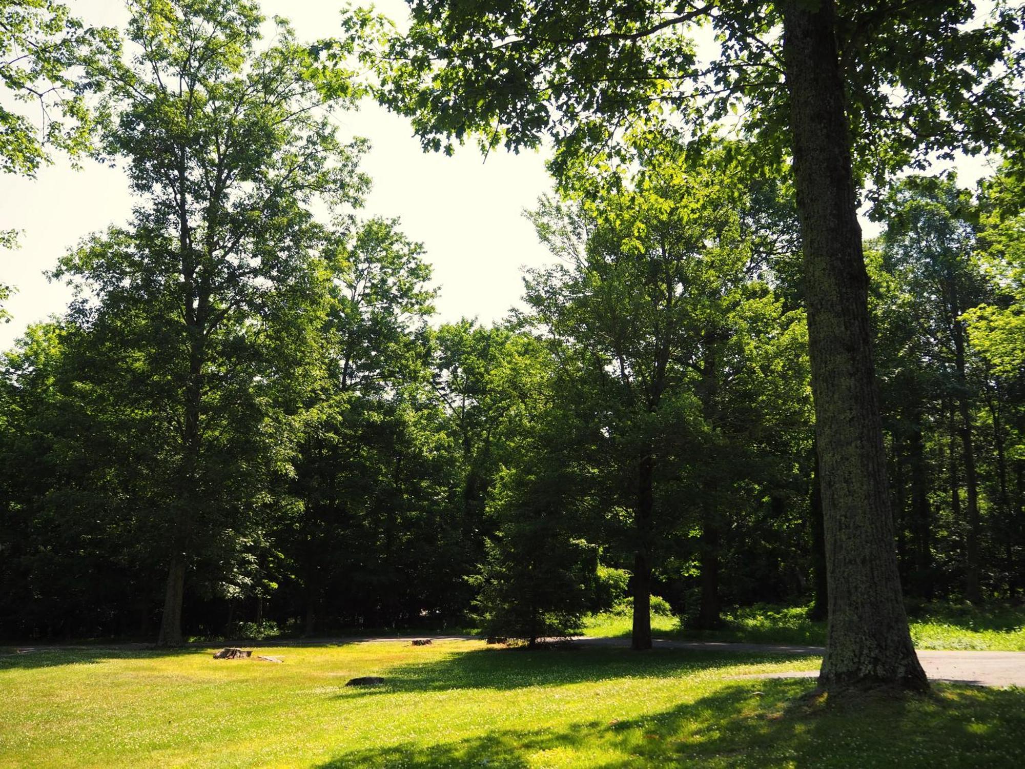 Woodfield Manor - A Sundance Vacations Property Cresco Eksteriør billede
